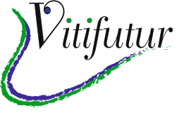 Vitifutur